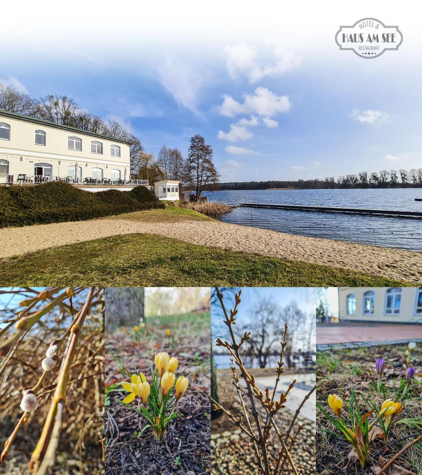 Hotel & Restaurant Haus Am See Locknitz Exterior foto